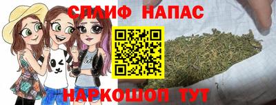 СК Донецк