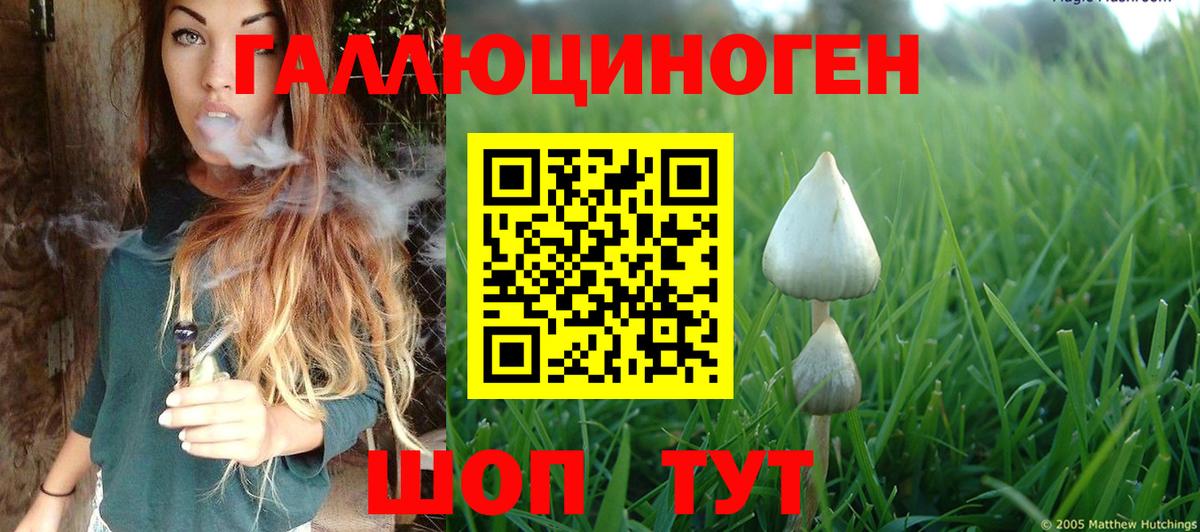 Орёл  Псилоцибиновые грибы прущие грибы  Вход с VPN 